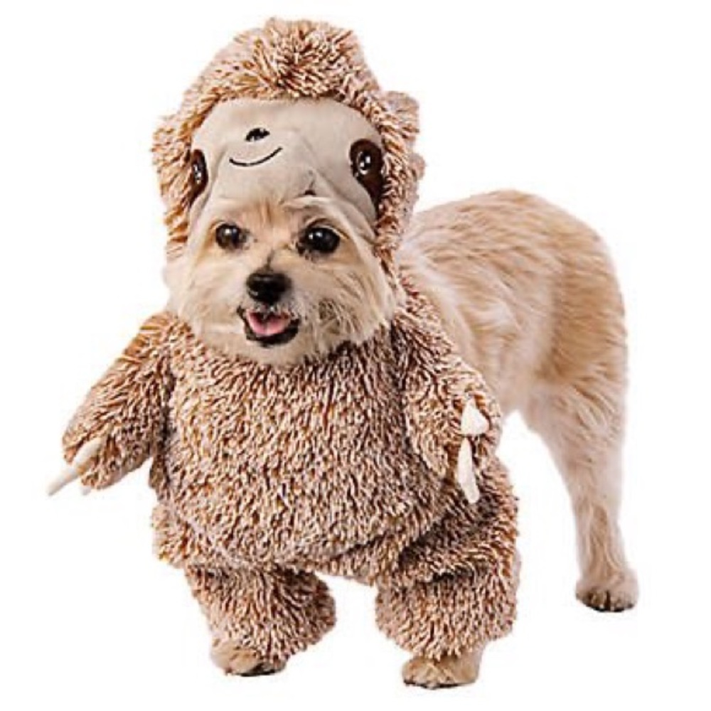 Sloth Pet Costume - Picture 4 of 4